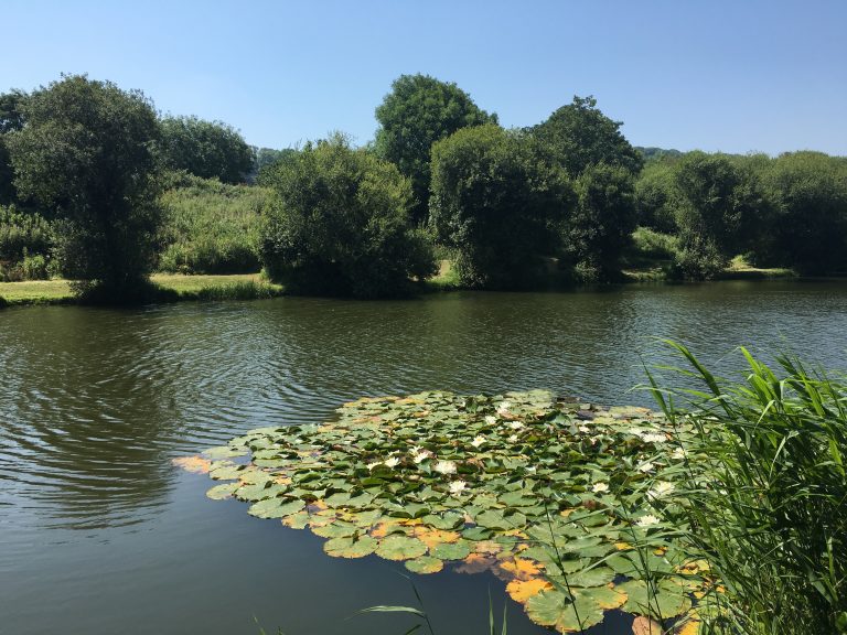 Isle of Wight Gunville Pond